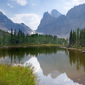 易阳精品视频在线观看
